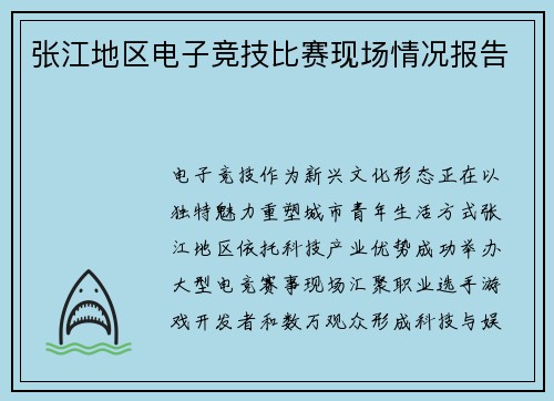 张江地区电子竞技比赛现场情况报告